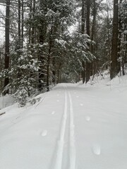 Obraz premium road in snow