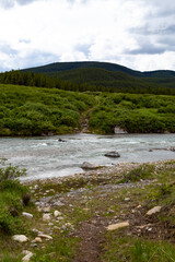 Fototapeta premium mountain river in the summer, green grass, flowing water, rock pebble shore, patch leading towards mountains