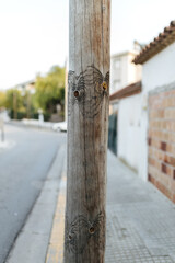 Wooden pole close-up in a street in Sitges, Spain