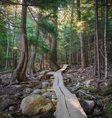 Along Jordan Pond Path