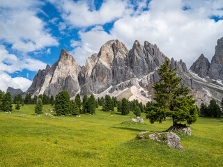Upper Dolomites with Flowers