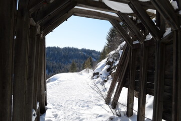 View out of abandoned railroad tunnel