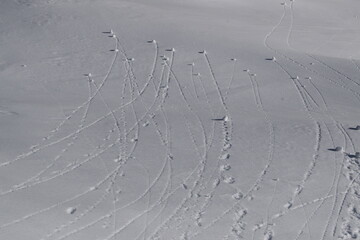 Multiple tracks in the snow created by tiny snowballs