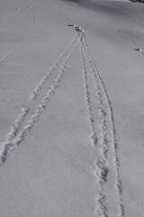 Trails in snows created by tiny snowballs