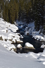 River running through trees and snow-covered rocks