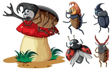 Fototapeta premium Set of different insects and beetles in cartoon style