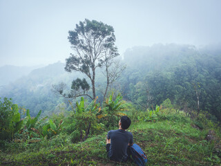 Alone man hiking enjoyment the morning mist in lush tropical rainforest.