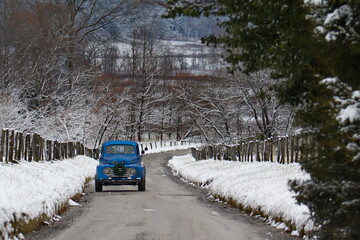 Blue Truck on a narrow road.