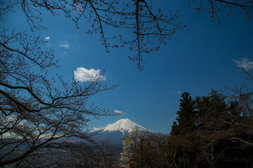 Mt. Fuji with snow in Lake Shoji