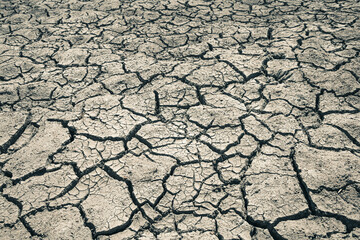 Landscape ground cracks drought crisis environment background.