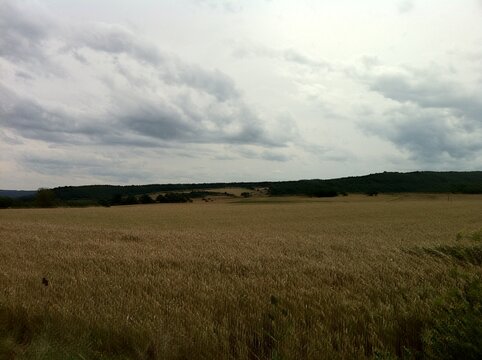 Campo seco 