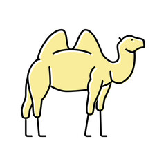 camel animal in zoo color icon vector illustration