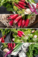 Collage made of fresh radishes.