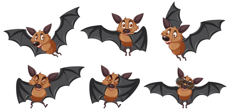 Set of different cute bats in cartoon style