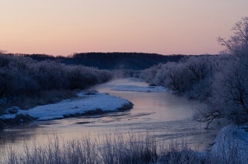 Dawn at roost of red-crowned cranes