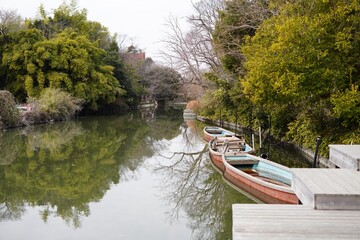 柳川に浮かぶ舟