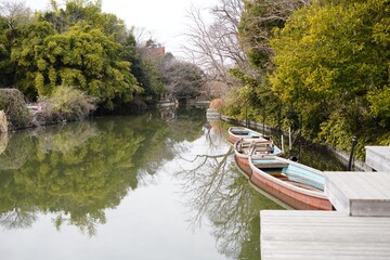 柳川に浮かぶ舟