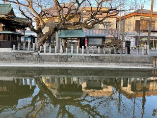 柳川と家屋の風景