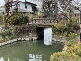 柳川の市街地を流れる川