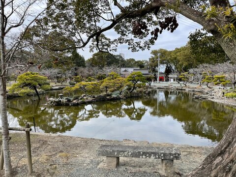 柳川の庭園と池