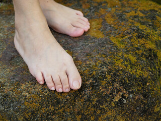 A woman's bare feet touched nature, standing on a rock covered with green moss. perfect natural environment