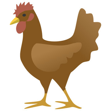 Brown hen in white background vector.