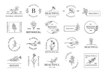 Floral logo. Minimalistic botanical emblems for cosmetic beauty wedding invitation and organic shop. Flowers and plant twigs. Lettering and borders. Vector calligraphic botany icons set