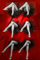 Composition completed by legs of female cabaret dancers dressed in black pantyhose