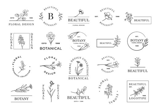 Floral logo. Minimalistic botanical emblems for cosmetic beauty wedding invitation and organic shop. Flowers and plant twigs. Lettering and borders. Vector calligraphic botany icons set