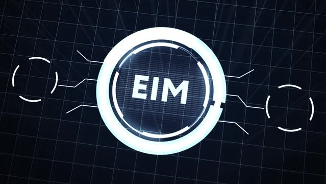 EIM Enterprise information management system.