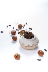 Textured, decorative vase with twigs on the background of sunflower seeds and hazelnuts.