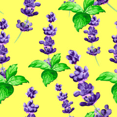 Watercolor background with lavender flower and green mint. Seamless pattern for bright colorful wallpaper, textiles, packaging, office and bed linen.