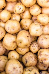 yellow potatoes, papines, creole potatoes