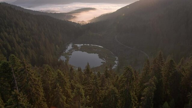 Aerial view over marshlands