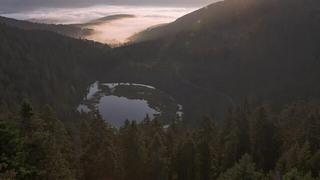 Aerial view over marshlands
