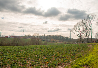 Krajobraz Energetyczny © Krzysztof  Jaworski