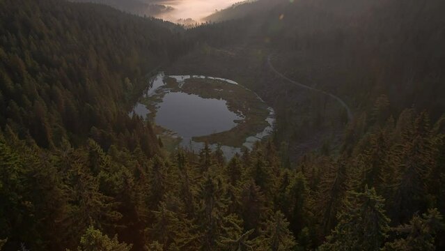 Aerial view over marshlands