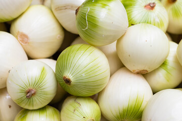 Vegetable onion