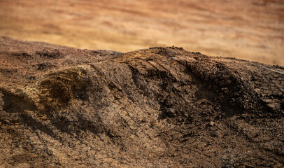 A close up of dry dirt road, tire tracks showing, dust and hillocks in red clay dirt makes an interesting background texture. 