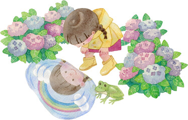 水たまりをのぞく女の子のイラスト(紫陽花付き)