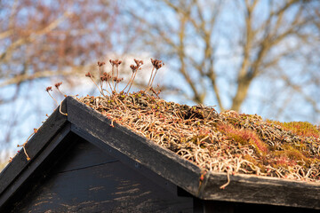 Roof of an insect hotel on a vegetable garden
