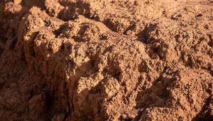 A closeup of packed red earth on Lanai, rugged texture highlighted in the sun, a textural and colorful background.