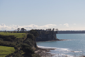 Long Bay Coastal Walk in a sunny day, New Zealand.