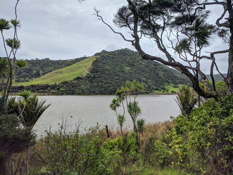 Picturesque landscape at lake Wainamu, New Zealand.