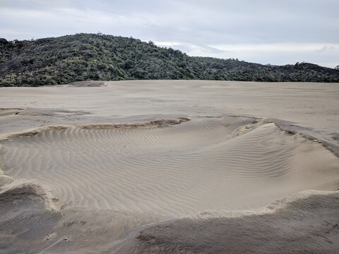 Close up of sand dunes around lake Wainamu, New Zealand.