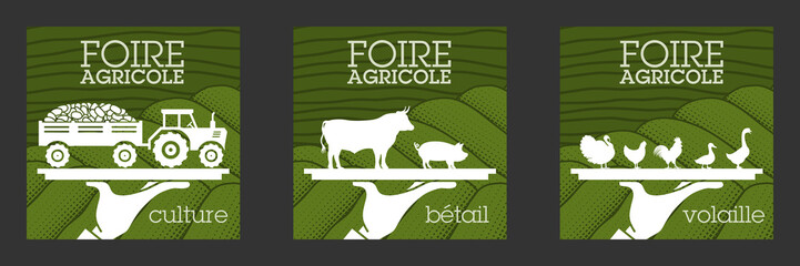 3 affiches pour une exposition agricole représentant symboliquement la présentation du matériel pour l’agriculture et des animaux, bétails et volailles, pour l’élevage - traduction : foire agricole.