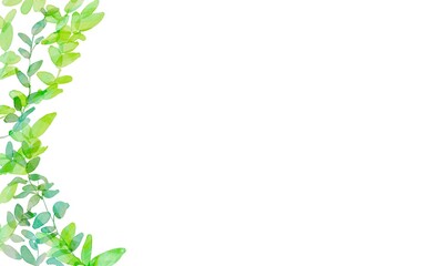 水彩画。水彩タッチで描いた緑の葉っぱ。草木の装飾フレーム。草木イラストのフレーム背景。Watercolor painting. Green leaves painted with a touch of watercolor. Decorative frame of plants and trees. Grass and tree illustration frame background.