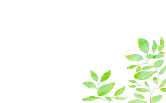 水彩画。水彩タッチで描いた緑の葉っぱ。草木の装飾フレーム。草木イラストのフレーム背景。Watercolor painting. Green leaves painted with a touch of watercolor. Decorative frame of plants and trees. Grass and tree illustration frame background.