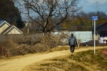 Fototapeta premium ウオーキング