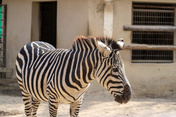 姫路動物園